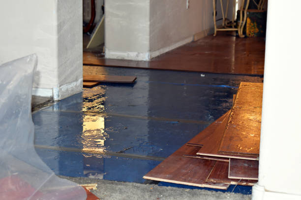 Professional Basement Water Removal technician working in Swansboro, NC
