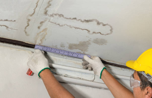 Reliable Basement Water Removal contractor in Swansboro, NC by Water Damage Irwin
